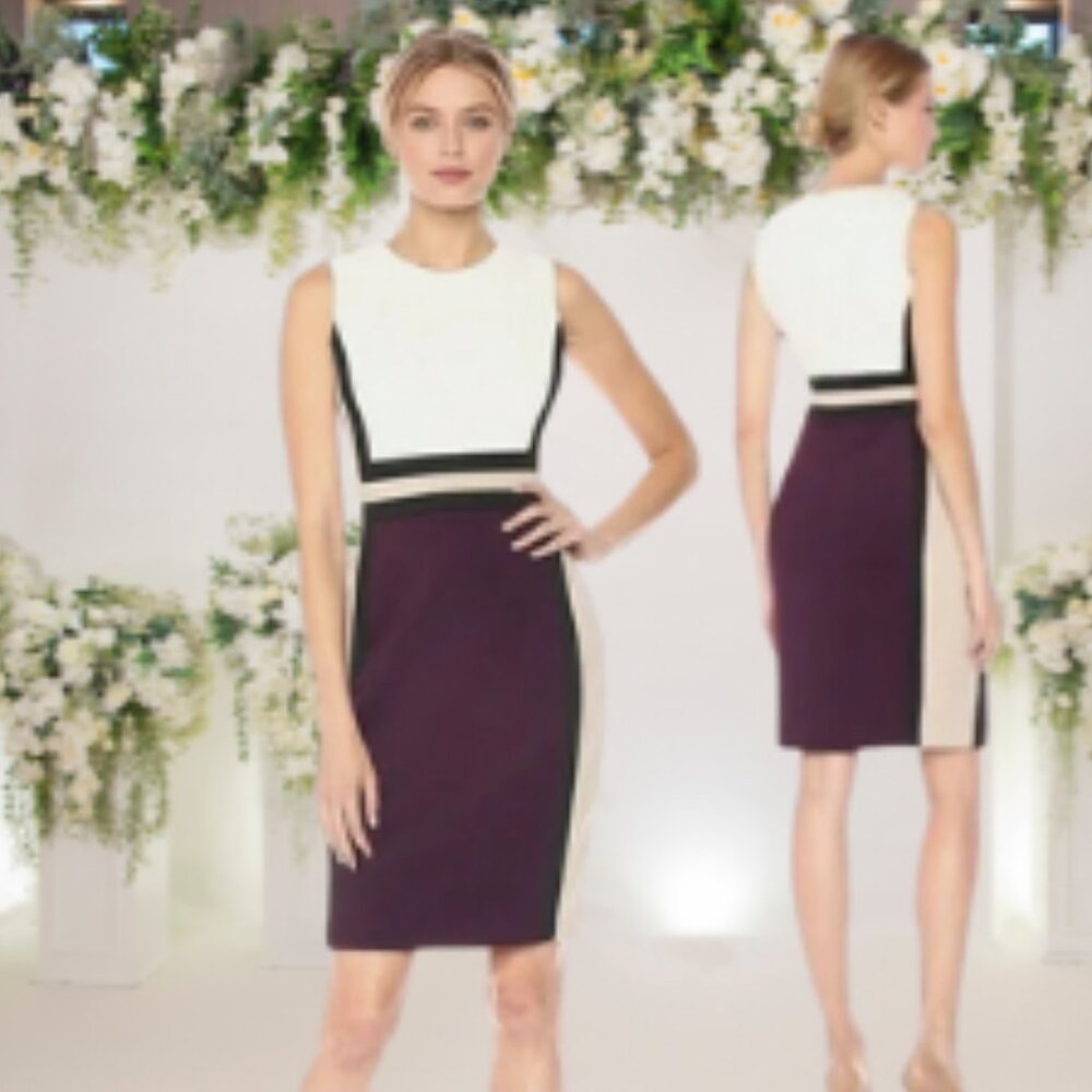 Calvin Klein Womens Sleeveless Color Block Sheath Dress